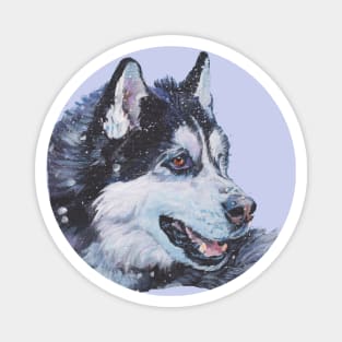 Siberian Husky Fine Art Painting Magnet